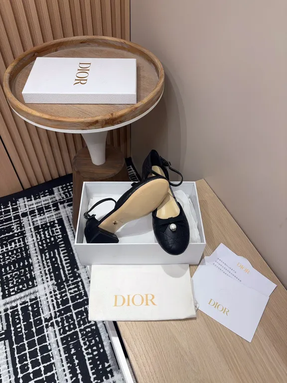 Dior Shoe 